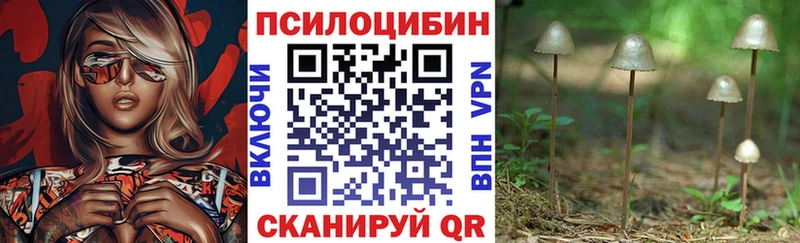 Псилоцибиновые грибы Psilocybe  Яровое 